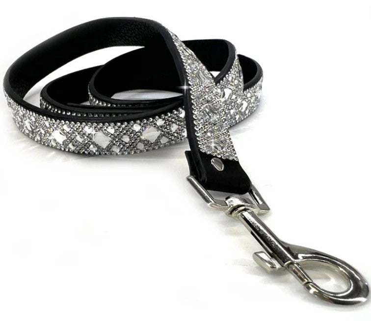 Furry Friend Accessory: Dog Leash