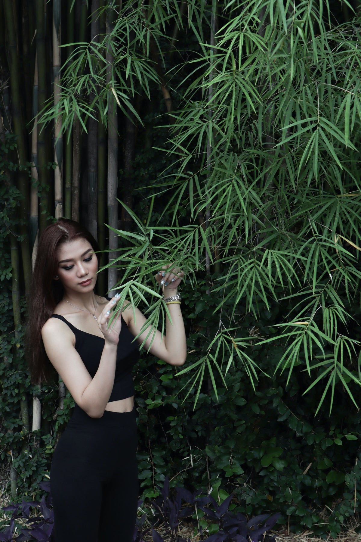 Bamboo