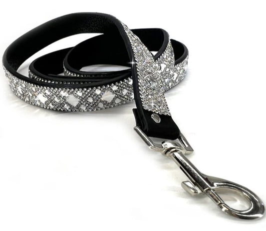 Furry Friend Accessory: Dog Leash